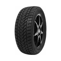 225/55  R17  Delinte Winter WD1 97T