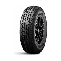 225/60  R17  DoubleStar W01 99Q